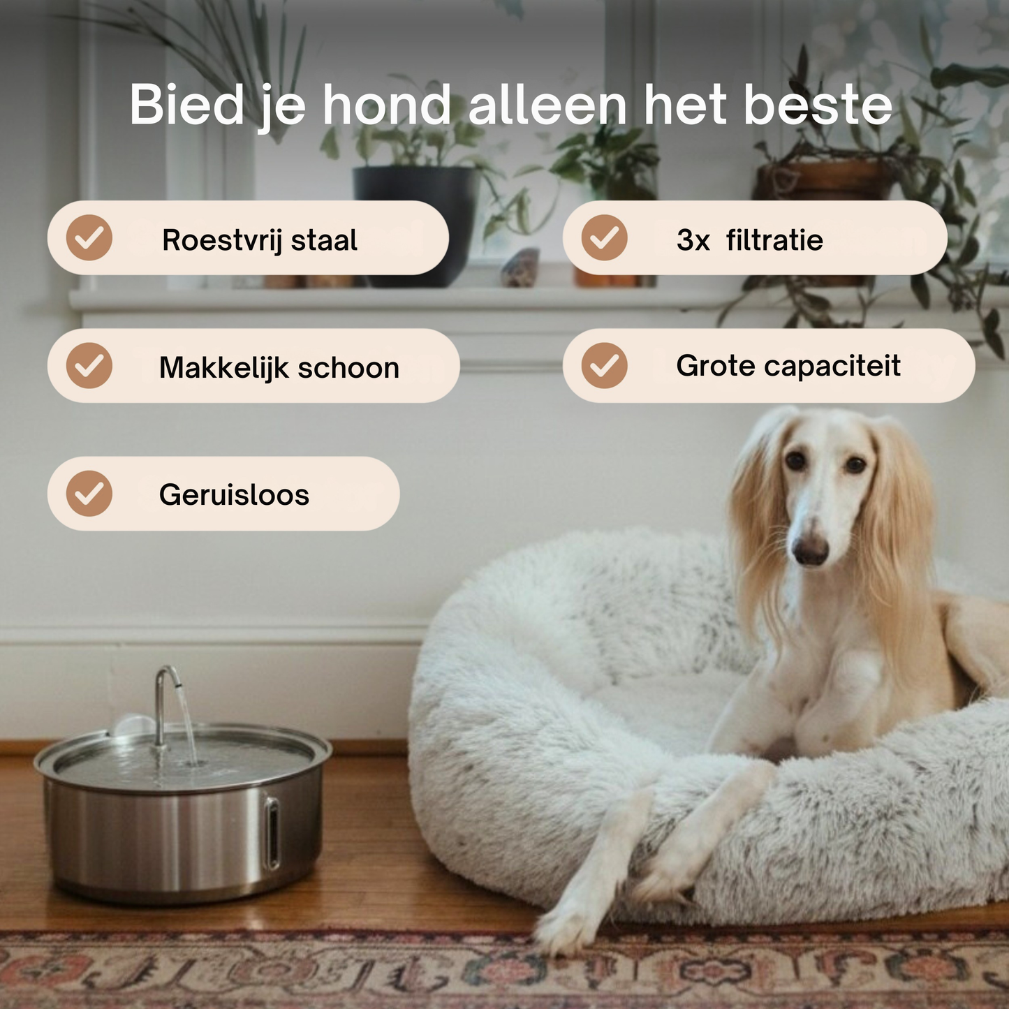 BuddyNest Furry Fontein ™