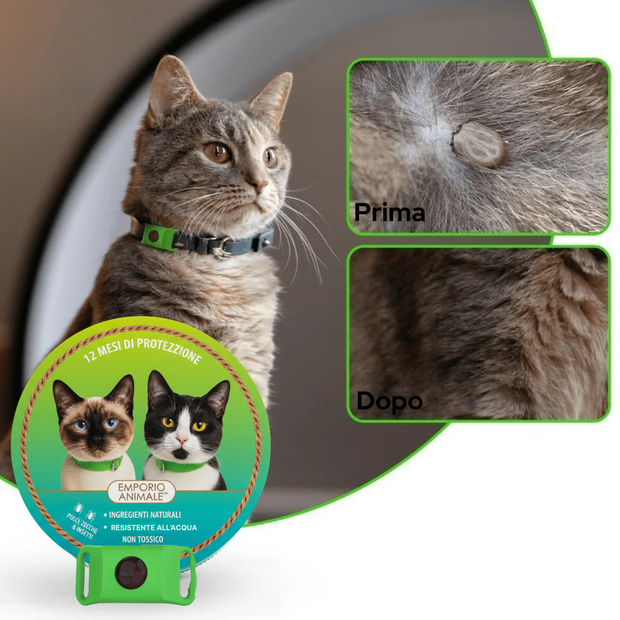 BuddyNest PuroPaws™ – Natuurlijke Anti-Parasiet Halsband voor Katten