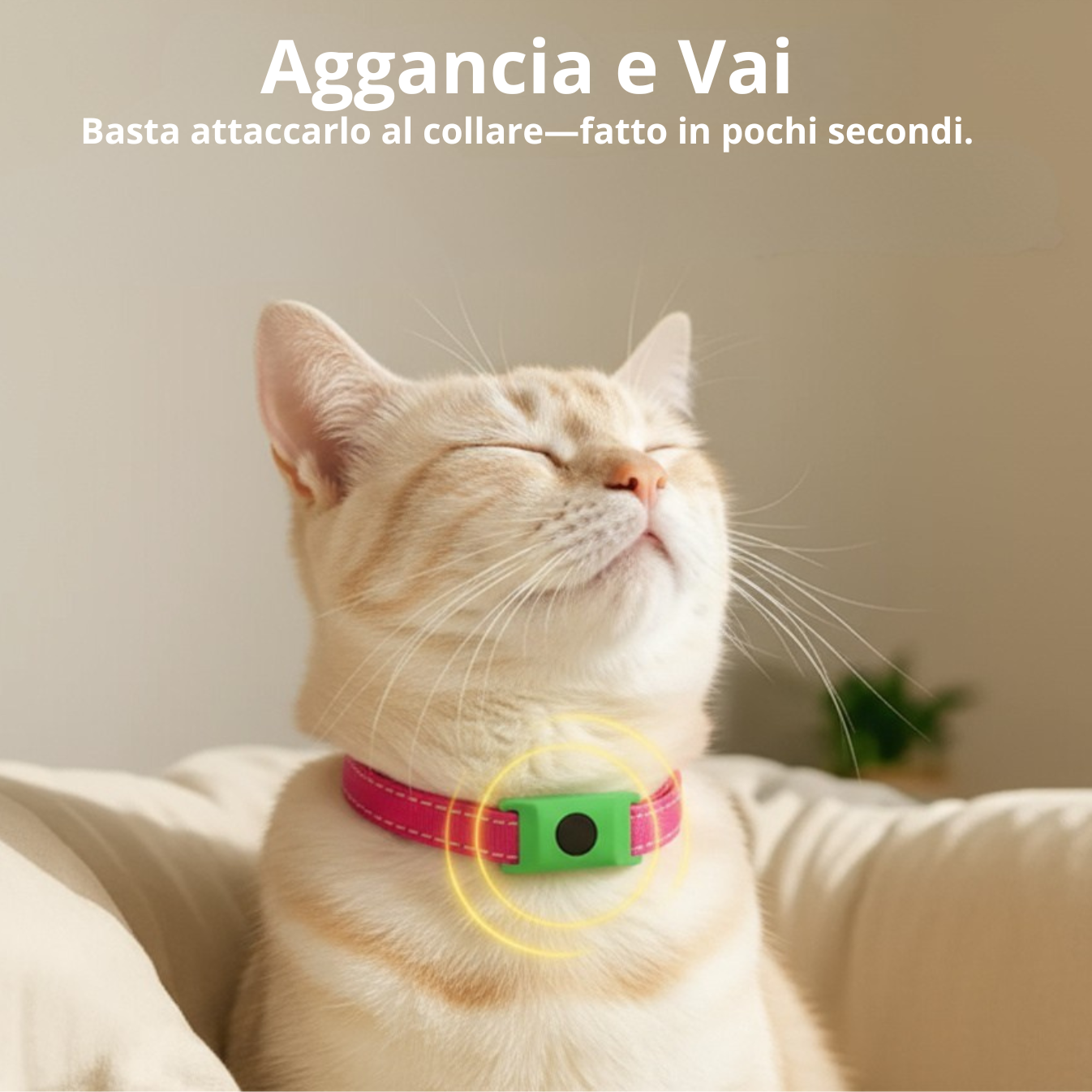 BuddyNest PuroPaws™ – Natuurlijke Anti-Parasiet Halsband voor Katten