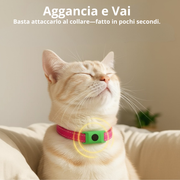 BuddyNest PuroPaws™ – Natuurlijke Anti-Parasiet Halsband voor Katten