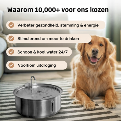 BuddyNest Furry Fontein ™