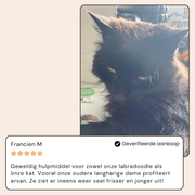 BuddyNest SteamBrush - Professionele Vachtverzorgings Borstel voor Huisdieren