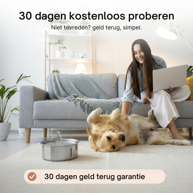 BuddyNest Furry Fontein ™