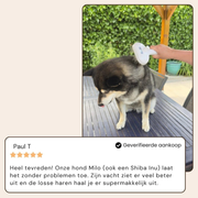 BuddyNest SteamBrush - Professionele Vachtverzorgings Borstel voor Huisdieren