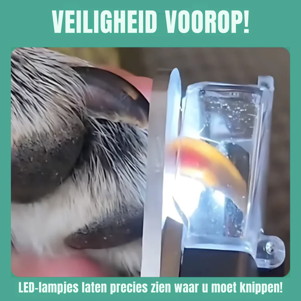 BuddyNest LumiNail™ – LED Nagelknipper voor Honden