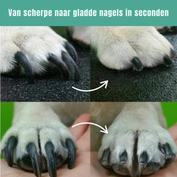 BuddyNest LumiNail™ – LED Nagelknipper voor Honden