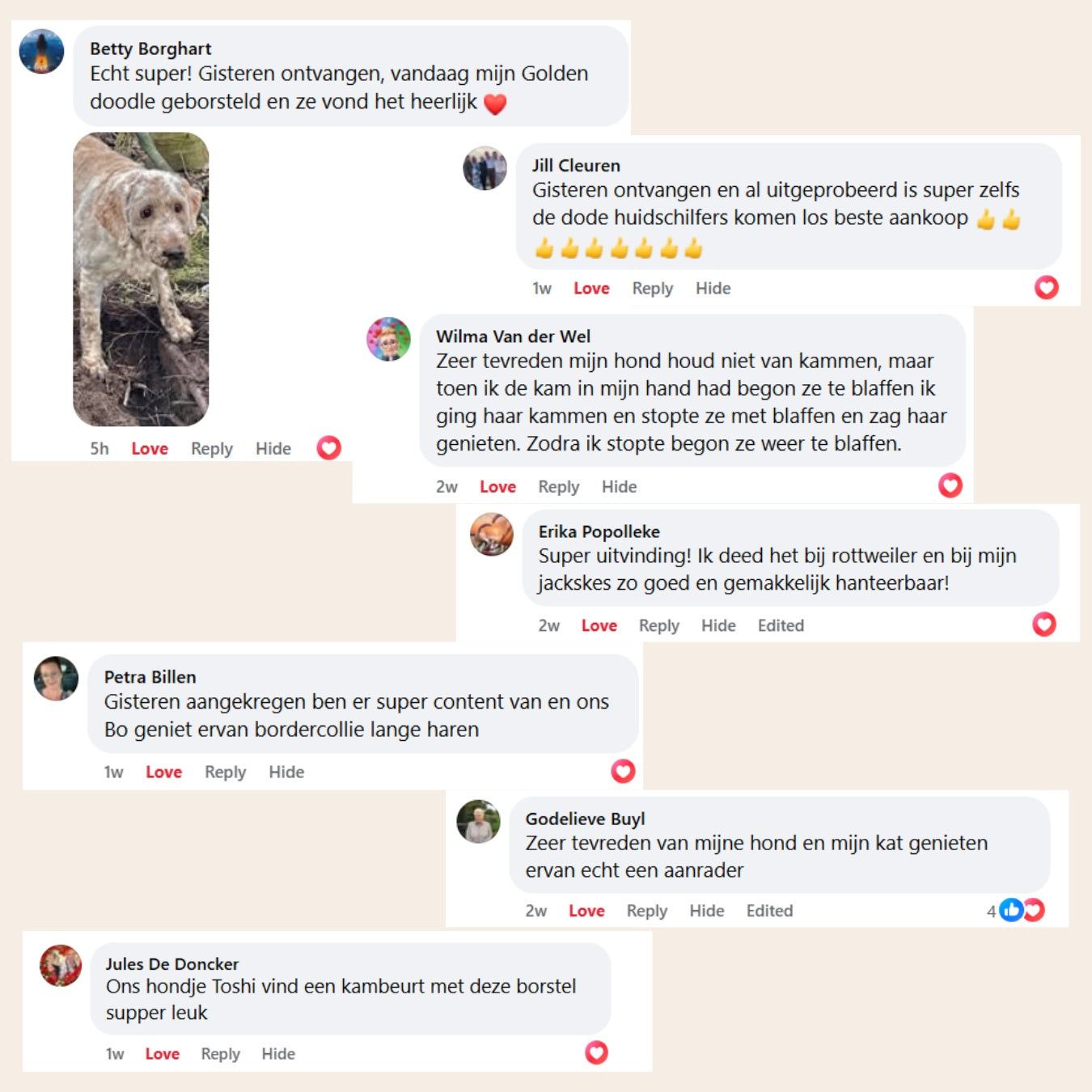 BuddyNest SteamBrush - Professionele Vachtverzorgings Borstel voor Huisdieren