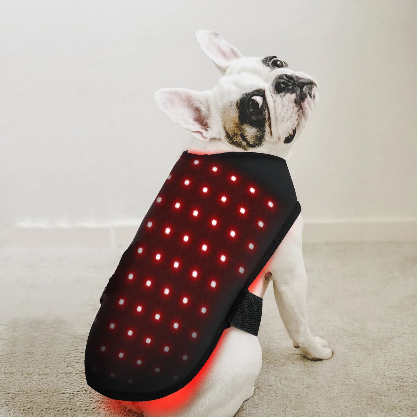BuddyNest LumiPaw™ - Infrarood Therapievest