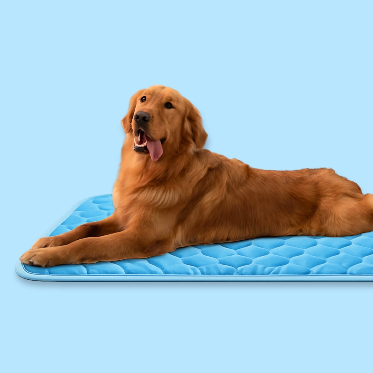 BuddyNest CoolSleep - Zelfkoelende Ligmat voor Huisdieren