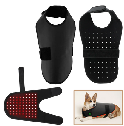 BuddyNest LumiPaw™ - Infrarood Therapievest