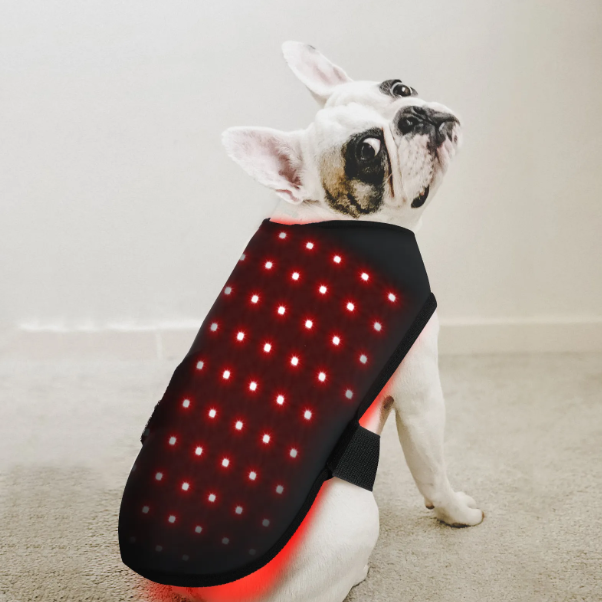 BuddyNest LumiPaw™ - Infrarood Therapievest