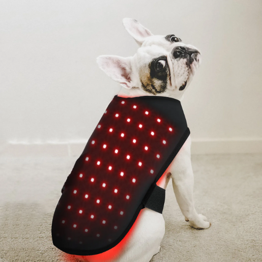 BuddyNest LumiPaw™ - Infrarood Therapievest