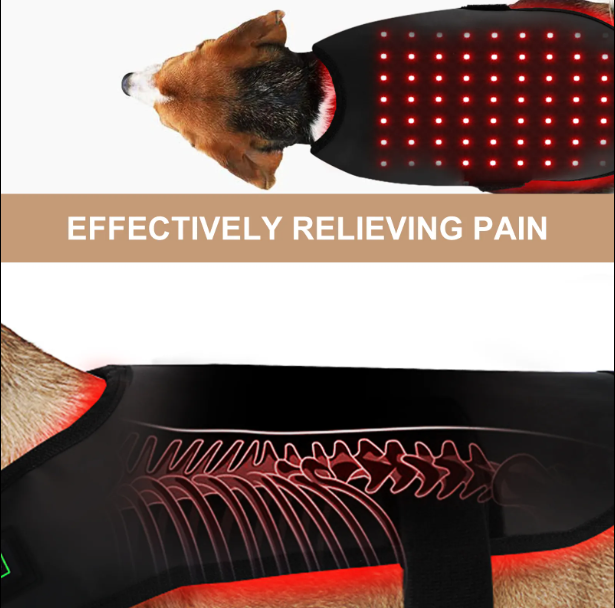BuddyNest LumiPaw™ - Infrarood Therapievest