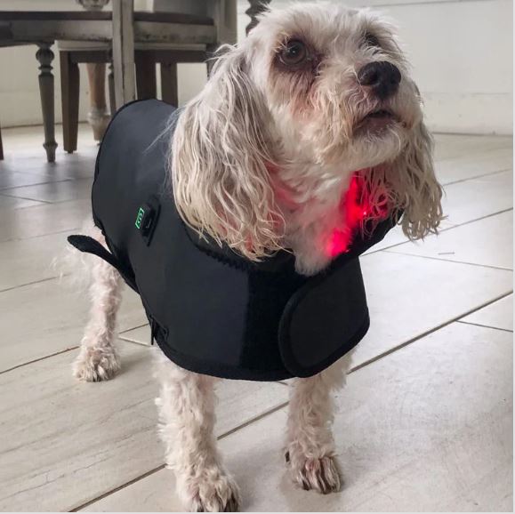 BuddyNest LumiPaw™ - Infrarood Therapievest