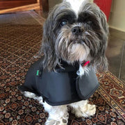 BuddyNest LumiPaw™ - Infrarood Therapievest