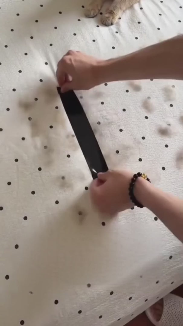 BuddyNest FurEase™ Haarhandschoen