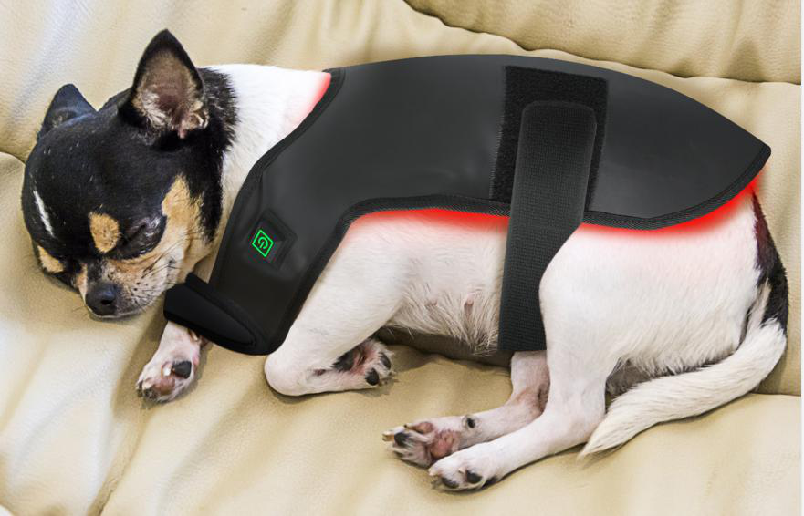 BuddyNest LumiPaw™ - Infrarood Therapievest