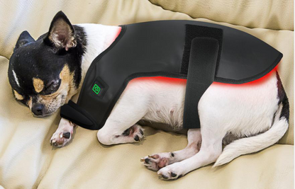 BuddyNest LumiPaw™ - Infrarood Therapievest